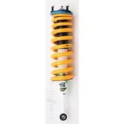 Raw Spring And Strut Assembly - RANGER08T-RAW