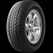 Dunlop - Grandtrek AT22 (285/65 R17)
