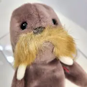 Plush Walrus Jolly 1996 Whiskers and Tusk Ty Beanie Baby Vintage New PVC Pellets
