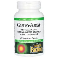 在飛比找iHerb優惠-[iHerb] Natural Factors Gastro