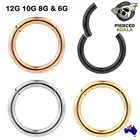 2Pcs Titanium 12G 10G 8G 6G Hinged Thick Segment Rings Clicker Septum Earrings
