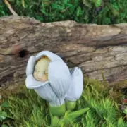 MINIATURE GARDEN JANUARY SNOWDROP FLOWER FAIRY BABY, HEIGHT 2" NEW