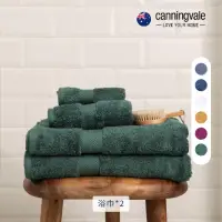 在飛比找momo購物網優惠-【canningvale】埃及棉經典浴巾2件組-6色任選(7