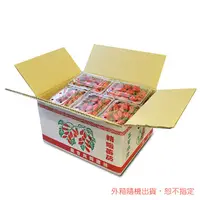 在飛比找PChome24h購物優惠-【鮮果日誌】玉女小番茄 原箱10盒裝