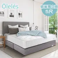 在飛比找PChome24h購物優惠-Oleles 歐萊絲 蜂巢式獨立筒 彈簧床墊-雙人