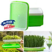 Trays Plant Grow Starter Germination Tray Basket Seed Sprouter Seddling