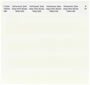 TAG5J-994 - Ink Jet Label Self-Laminating .80x.5x1.63in 40-Sheet PET Wht (1 EA)