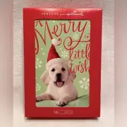 Hallmark Christmas Cards Labrador Puppy Dog “A Merry Little Wish” 16 Count Box