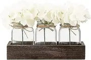 Mason Jars Centerpiece for Table, Wood Tray with 3 Painted Jars,Decorations for Dining Table Decor Farmhouse Coffee Table Decor for Living Room, Mason Jar Decor (Transparent)
