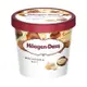 Haagen Dazs哈根達斯 夏威夷果仁迷你杯 100ml