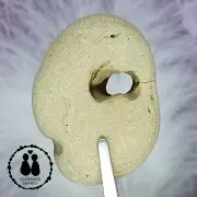 HOLEY HAG STONE NATURAL SURF TUMBLED BEACH ROCK WISHING GOOD LUCK FAIRY #1325
