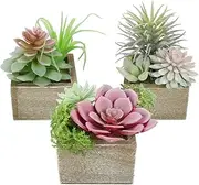 Mingfuxin Succulents Plants Artificial, Mini Assorted Green Fake Plants in Pots, Small Artificial Succulent Plant with Wood Potted for Bathroom Home Office Living Room Table Decor Indoor, Set of 3
