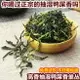 抽濕鴨屎香單樅茶鳳凰單叢新茶清香型雪片潮州烏崠單叢烏龍茶250g