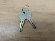 Thule lock keys, 2 qty, N119