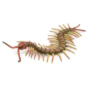 CollectA - Centipede Animal Figurine