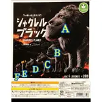 [現貨] 日版 T-ARTS 熊貓之穴 厚道系列 BLACK 黑色系 戽斗動物園 一套6種