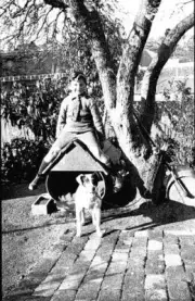 Heidelberg Victoria 1925 - A boy sitting on a dog kennel which app- Old Photo