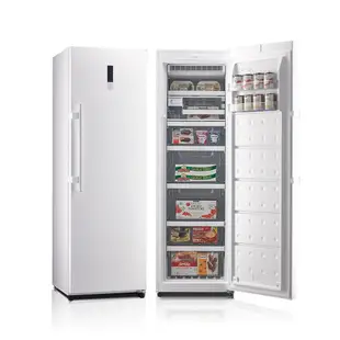 冷凍櫃 富及第 Frigidaire 260公升單門冷凍冰箱 單門冷凍櫃 二手