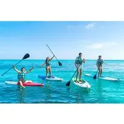 Save 20.00%! Isla Mujeres Garrafon Park Zipline Kayak Snorkel and Buffet