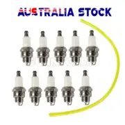 10x Spark Plug for Baumr-AG MTM 62/65CC Brushcutter Line Trimmer Whipper Snipper