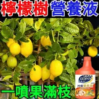 在飛比找蝦皮購物優惠-【高雄出貨】正品 檸檬樹 肥料 檸檬苗 營養液 護理液 防落