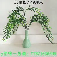 在飛比找Yahoo!奇摩拍賣優惠-【熱賣精選】法器塑料 柳枝 觀音菩薩 法器 配件  觀世音菩