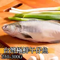 在飛比找momo購物網優惠-【鮮綠生活】台灣三去海水午仔魚(250-300g/尾 共7包