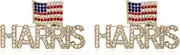 [Roe Dolph] Kamala Harris Pin Harris Waltz Pins 2024 Kamala Harris Pins for President Vote Pin American Flag Lapel Pins USA Flag Pins President Campaign Lapel Pins Vote Badges Button Pins
