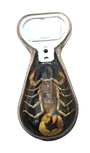 Bottle Opener with real Scorpion insect -magnetic-black background- lucite