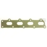 Platinum Extractor Gasket - HSM317
