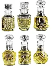 JQWIN Mini Glass Bottles with 6 different shapes Can be used for Self-made juicing, Wine Bottles or Whiskey Decanter