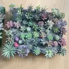 12pcs/pack Mixed Artificial Succulents Fake Plants Home Indoor Garden Decoration