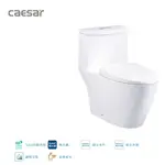 CF1363省水單體馬桶 CAESAR 凱撒衛浴