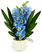 Creative Displays Blue Orchid Arrangement In White Ceramic Pot NoSize