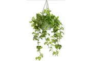 104cm Faux Marble Pothos Bush in Hanging Planter Tabletop and/or Hanging Display
