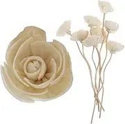 Rattan Reed Diffuser Flower Reed Diffuser 9Pcs Rattan Reed Fragrance Oil Diffuser Sticks Fire- Fragrance Diffuser Aroma Sticks Dried Flower Diffusers