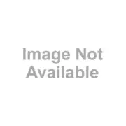 Triangle Tube - Replacement Spark Ignitor Kit - For Prestige Boilers