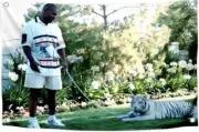 3x5 Ft Mike with Pet Tiger Polyester Flag with Brass Grommets - Fun Tyson Boxing