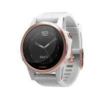 在飛比找Yahoo奇摩購物中心優惠-O-one小螢膜 Garmin fenix 5S 手錶保護貼