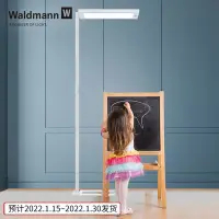 在飛比找Yahoo!奇摩拍賣優惠-德國兒童落地燈 Waldmann沃達邁鋼琴學習書桌LED臺燈
