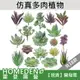 【台灣現貨】 仿真多肉植物 帶粉多肉 仿真多肉 多肉植物  【HOMEDEN 霍登園藝】