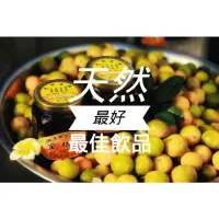在飛比找蝦皮購物優惠-大津皇品系列：金桔膏、金桔果醬、金棗蜜、蘋果醬