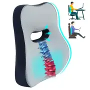 Lumbar Support Pillow for Car, Comfy Memory Foam Back Support for Office Chai...