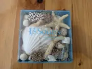 Crabtree and Evelyn La Source Fragranced Shells with oil box unused Made in USA