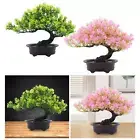 Artificial Bonsai Tree Fake Bonsai Tree for Living Room Windowsill Bookshelf