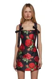 [Dolls Kill] Pixie Stardust Mini Dress - Roses (Fairfax)