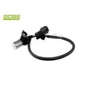 RAE Crankshaft Position Sensor - SC189