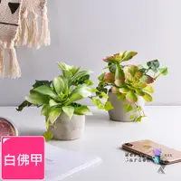 在飛比找PChome24h購物優惠-【Meric Garden】高仿真多肉植物療癒手工水泥小盆栽