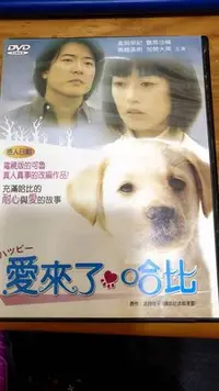 在飛比找Yahoo!奇摩拍賣優惠-DVD-愛來了 哈比-感人日劇 原作:波間信子/永峰國際影音