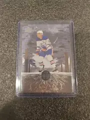 Connor McDavid Deep Roots Upper Deck Oilers Sports Card Silver 23-24